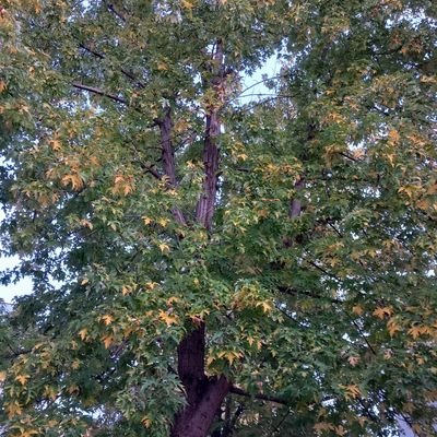 RosarioOchoa1's profile picture. 