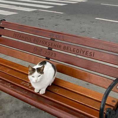 dikdereee's profile picture. Hayat devam ediyor 🌿☕