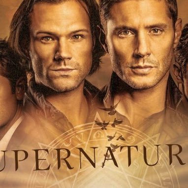 SupernaturalHQs's profile picture. Post nothing but gifs and memes from supernatural or their actors! 🥰