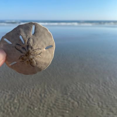 LMill124's profile picture. 