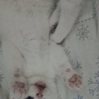 nurş (@nursennaslan) Twitter profile photo