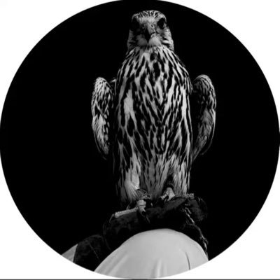 i2_dy2 Profile Picture