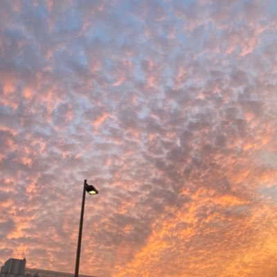 XTduk5's profile picture. 産業保健師 TOMH13期