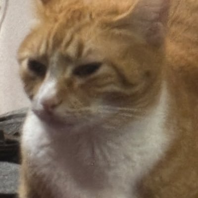 WhatTheFrick96 Profile Picture