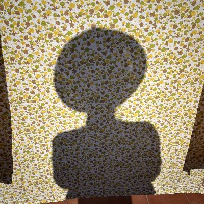 godayvalldaura's profile picture. Senyora i Professora de Llengua catalana i literatura 
@senyoretairene 
NOTA: Moneypenny és el nom fictici de la meva filla.