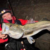 Muto (@cameler89) 's Twitter Profile