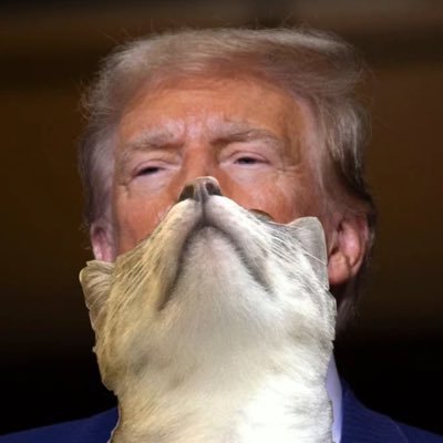 makekidslaugh's profile picture. 