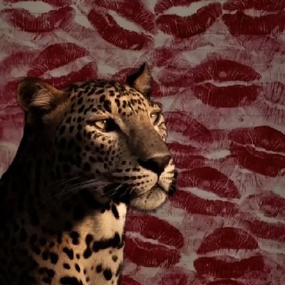 MdKoko30561's profile picture. 