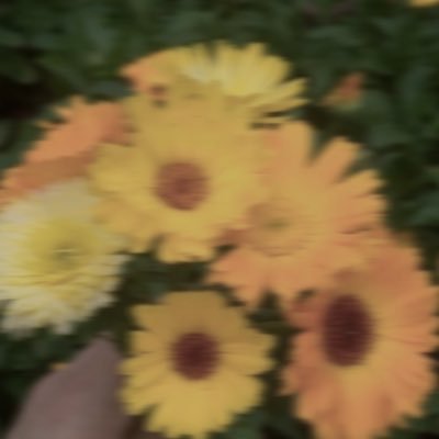 112_shiro's profile picture. すーぱーあるばいたー