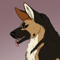 Bandit (@feraldxg) 's Twitter Profile