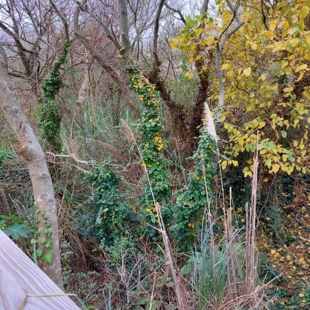 Ernesto82381773's profile picture. LA servicios financiero