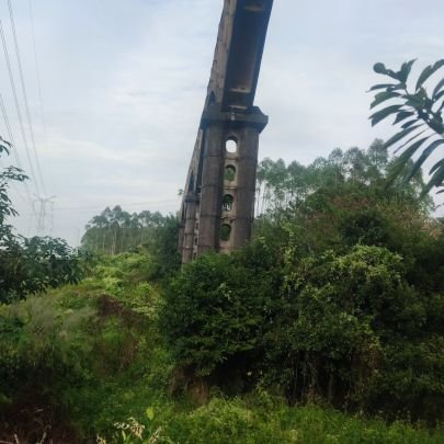 9823pku's profile picture. 讨厌广告，多用list。需回关请说一下。封锁一切币圈软广