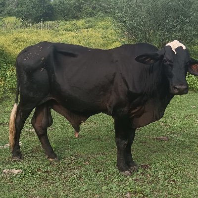 jjturc23's profile picture. 