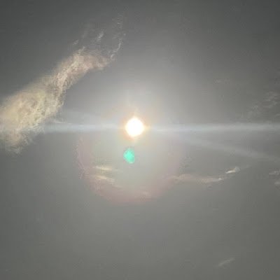 hujinhng487787's profile picture. 在術數，不在勞身；利在勢居，不在力耕也。