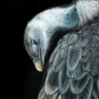 Revival Orchestra2020 (@revivalorch2020) 's Twitter Profile