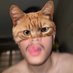 แมวอ้วง 😽 (@1995_crix) Twitter profile photo แมวอ้วง 😽 (@1995_crix) Twitter profile photo