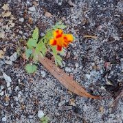 Deactivated (@gkpd) 's Twitter Profile