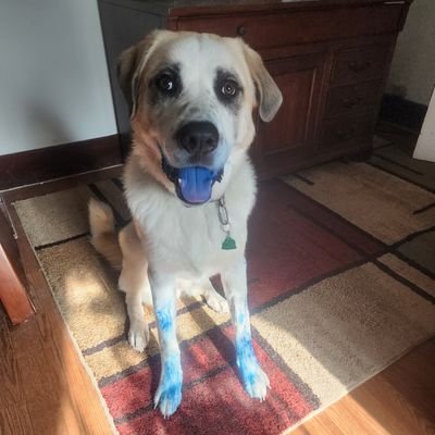 Philotes88's profile picture. Southern gal pointing out old-school logic, common sense, common courtesy, chilvary, shaming, and honest opinions. Fluent in 'French' and Sarcasm. Semper Fi.