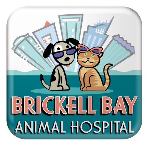 Family owned & operated, we are passionate about offering high quality veterinary medicine in a friendly, compassionate, caring and supportive environment.