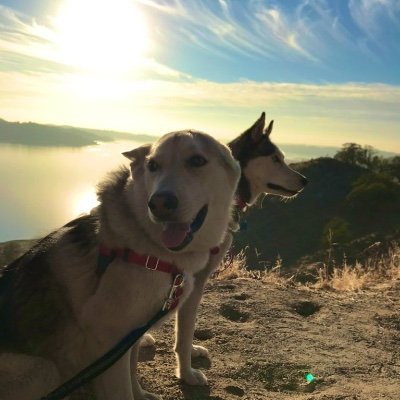 joebito's profile picture. Director of Engineering @ LA の半導体スタートアップ｜IL/GA/TX/CA｜Georgia Tech PhD