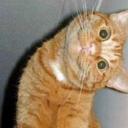 Norma Obregon - @Normaetna - Twitter