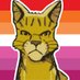 THE brackenfur guy (@__rat__king__) Twitter profile photo THE brackenfur guy (@__rat__king__) Twitter profile photo