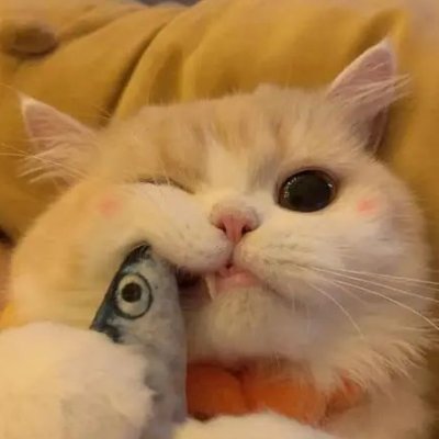 amber482931's profile picture. 