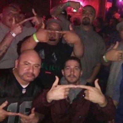 Vallidogs's profile picture. me? I’m tight as fuck