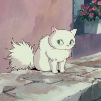 K (@fu235__) Twitter profile photo