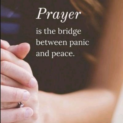 MohitSi12408167's profile picture. 