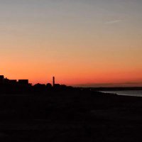 Lisa Stephens (@lisaastephens1) 's Twitter Profile