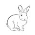 Brier Rabbit (@rabbitbrier) Twitter profile photo Brier Rabbit (@rabbitbrier) Twitter profile photo
