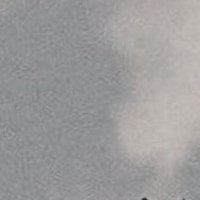 ポキ (@poki0_don) 's Twitter Profile Photo