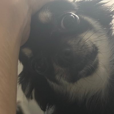 今日も生きててえらいね❗