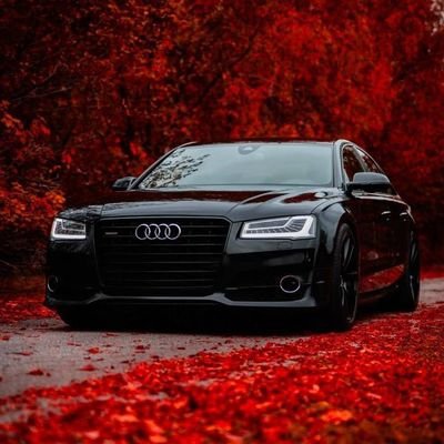 sitienei_ivan's profile picture. Friends and Joy, News 𝑢𝑝𝑑𝑎𝑡𝑒𝑠