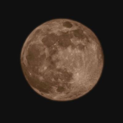 kangdadwho's profile picture. 