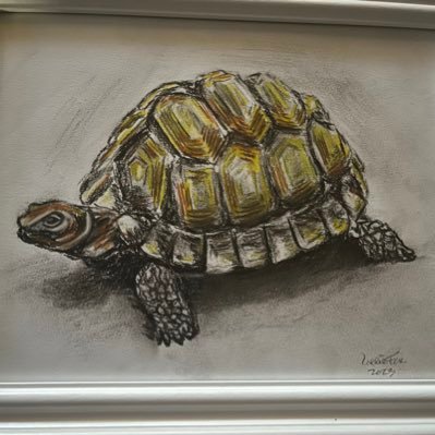 Swiftie60's profile picture. 