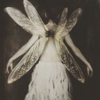 𝓐. (@aalaye02) 's Twitter Profile Photo 𝓐. (@aalaye02) 's Twitter Profile Photo