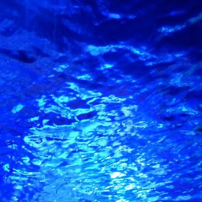 yuru_yuru_zzz's profile picture. お芝居や物語が大好きです∥音楽∥ボードゲーム∥「ホテル山中8」に参加してから山中真尋さんのファンになりました✨応援しています！
＊投稿を始めたのが最近(2024.11～)なので、投稿数はまだまだ少なめです🫧