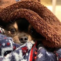 ひろし。🍑 (@znuwnihorofa6ws) 's Twitter Profile Photo