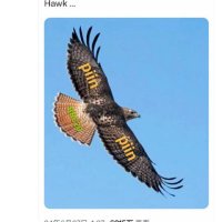 馃憡PiiN路蟺 馃 (@imadikmar) 's Twitter Profile