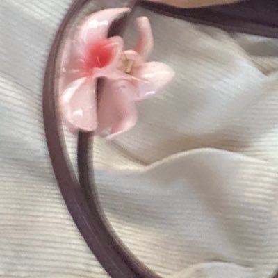 clovernterfly's profile picture. ✩°。 ⋆⸜ 🌷✮