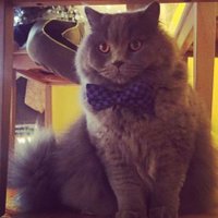 Paşalimanı (@efeefedmts) 's Twitter Profile