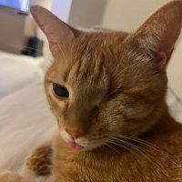 charliee23 (@caglanyildirim) 's Twitter Profile