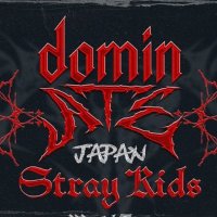 Stray Kids dominATE JAPAN (@ami_aito_dakho) Twitter profile photo