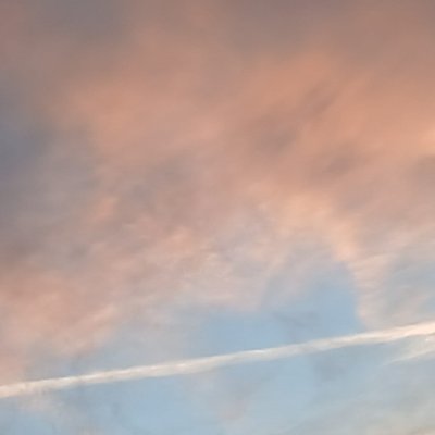 EmmaOCo19026400's profile picture. Wife, mom, animal lover