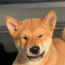 AnggaPrase39808's profile picture. 