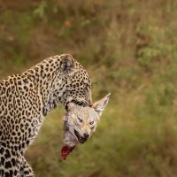 Big texas red (@texasred1969) 's Twitter Profile