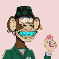 mrxk0b3s.ton (@deadanon666) 's Twitter Profile
