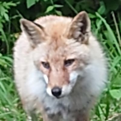 bpoIm0jyqD71262's profile picture. 